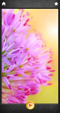 Beauty Flowers Jigsaw Puzzles - Screenshot 3