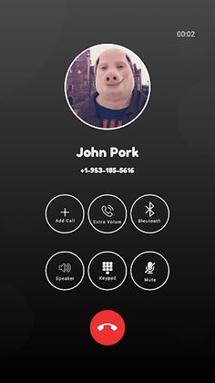 John Pork Chat Video Call - Screenshot 3