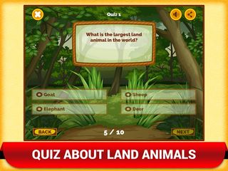 Zoo Animal Quiz Games For Kids - Screenshot 3