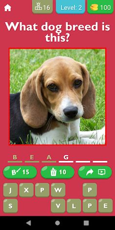 Guess The Dog Breed Game - Screenshot 3