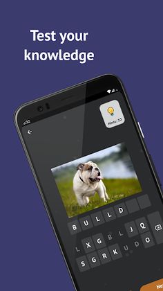 Dog Breeds: Quiz - Screenshot 1