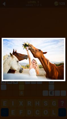 135 Photo Crosswords - Screenshot 4