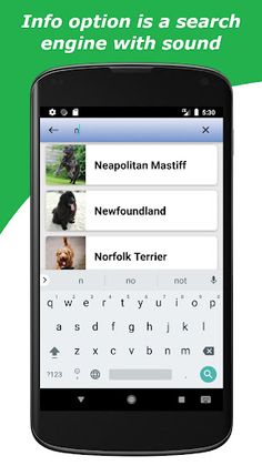 Dogs Game - Screenshot 2