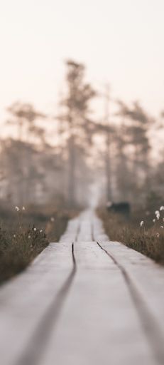 Beautiful sunrise - Screenshot 3