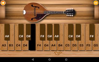 Professional Mandolin Elite - Screenshot 2