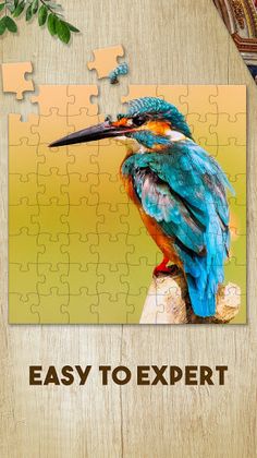 Jigsaw Puzzles Stars HD - Screenshot 3