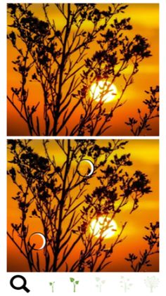 Spot a Difference Trees - Screenshot 2