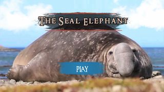 The Seal Elephant - Screenshot 2