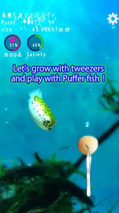 Playing with Puffer fish - Screenshot 2