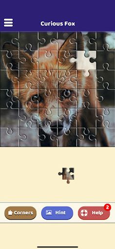 Curious Fox Puzzle - Screenshot 4