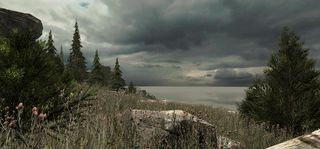 VR Forest Relaxation 2 - Screenshot 1