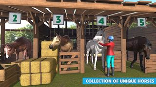 Horse Jump: Horse Racing 3D - Screenshot 2
