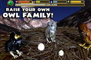 Owl Simulator - Screenshot 3