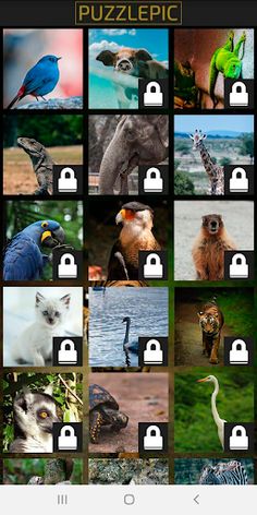 Puzzle Pic - Animal Edition - Screenshot 2