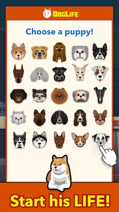 BitLife Dogs - DogLife - Screenshot 1