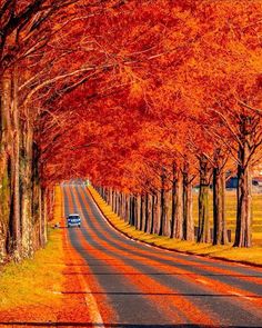 Jigsaw Puzzles Classic - Screenshot 3