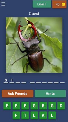 Insect Quest: Trivia Challenge - Screenshot 1