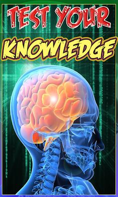 Human Anatomy Pro Trivia - Screenshot 4