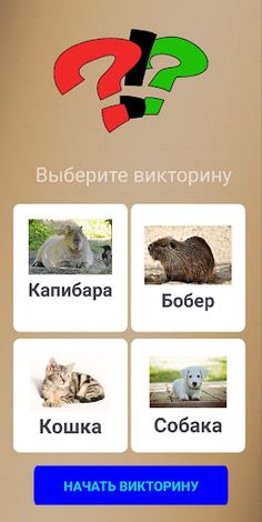 Викторина животных - Screenshot 1