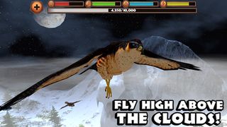 Falcon Simulator - Screenshot 3