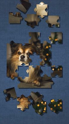 Cute Dog Puzzle - Screenshot 4