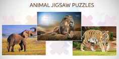Wild Animals Jigsaw Puzzles - Screenshot 4