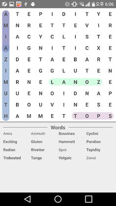 Word Search Master - Screenshot 4