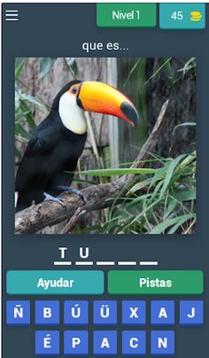 Caballero del conocimiento - Screenshot 1