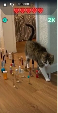 Overplay Games - Screenshot 2