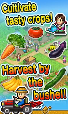 Pocket Harvest - Screenshot 1