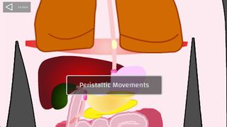 Digestive System - Screenshot 1