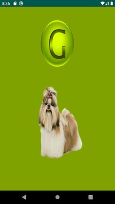 Geokrizago- GC8GZXX - Screenshot 4