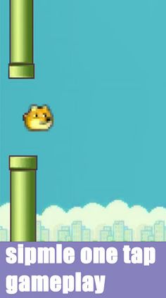 Flappy Doge's - Screenshot 1