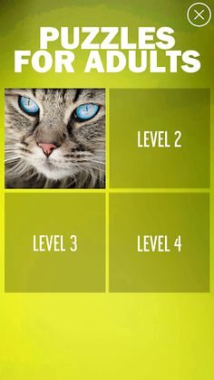 Puzzles For Adults - Screenshot 1