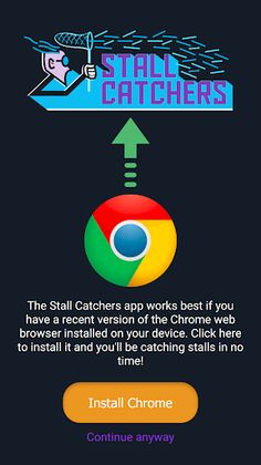 Stall Catchers - Screenshot 2
