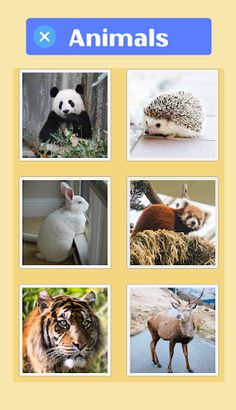 Animal Slide Puzzles - Screenshot 3