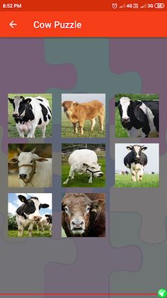Cow Puzzle - Screenshot 4