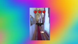 Wide Putin Walk - Screenshot 1