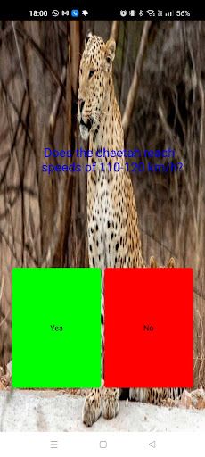 Animal quiz - Screenshot 1