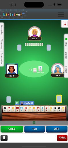 Okey Kakaranet - Screenshot 2