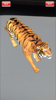 Bold AR - Screenshot 4