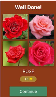 Flower names Quiz - Screenshot 2