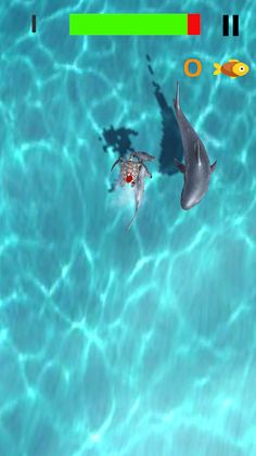 Chase Sea Turtle - Screenshot 2