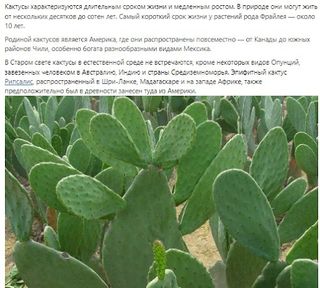 Все о кактусах - Screenshot 2