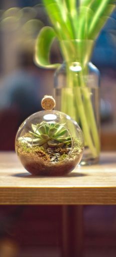 Glistening dewdrops - Screenshot 1