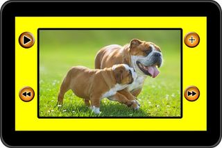 1000+ Animal Sounds - Screenshot 3