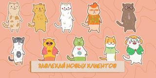 Cat's Chillzone - Screenshot 2