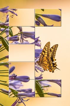 Jigsaw Deluxe - Puzzle Game - Screenshot 1