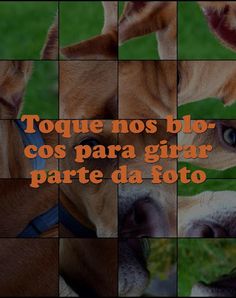 Quebra-Cabeça de Cães - Screenshot 2