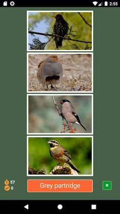 Who I am? - Screenshot 3